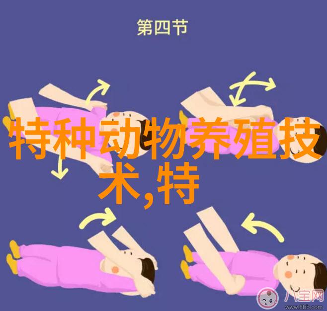 鸵鸟的主要良种索马里鸵鸟