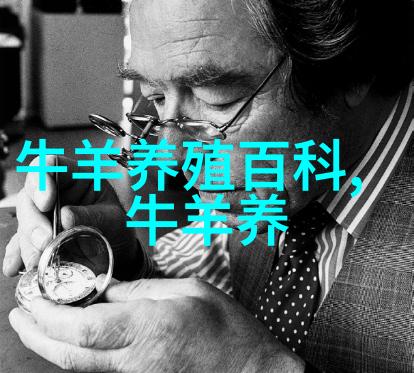 肉羊的养殖技术