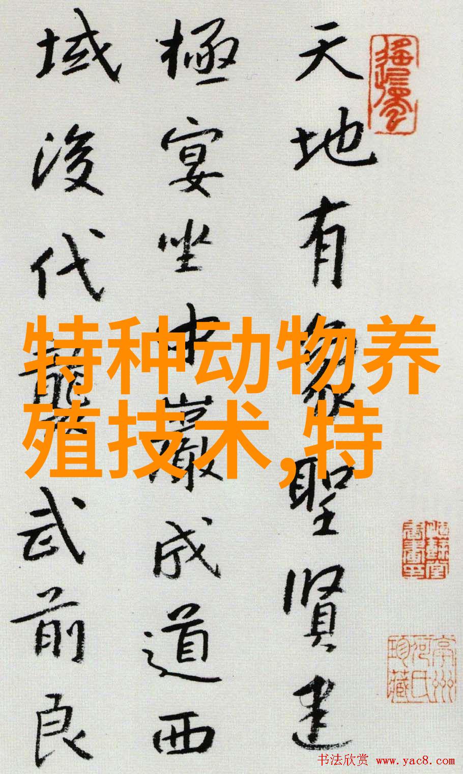 鸵鸟霉形体病的诊治