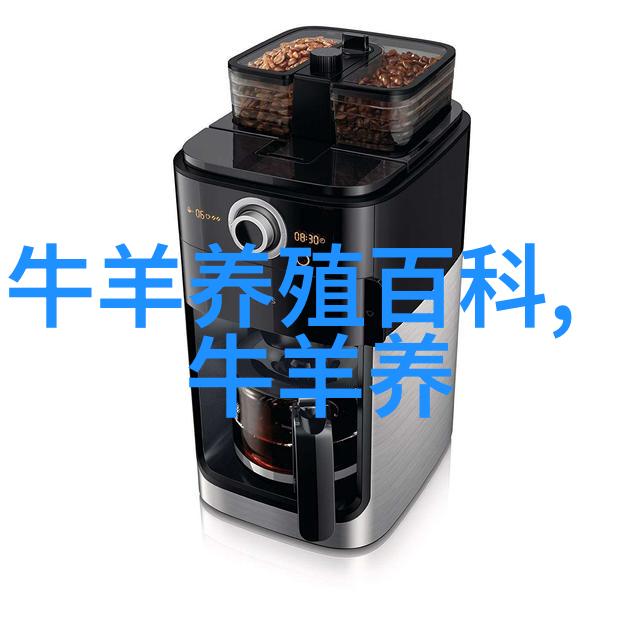 高寒围栏草地短期放牧育肥牦牛效益高