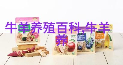 肉牛内科病辨胃阻塞