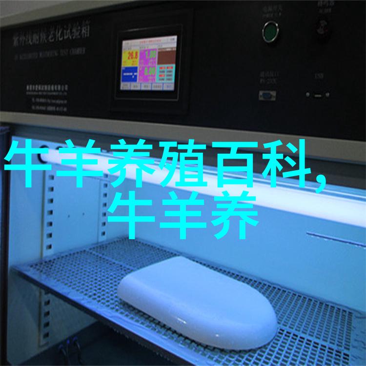 肉牛短期育肥应避免的几个问题