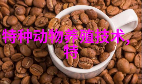 非洲牛蛙