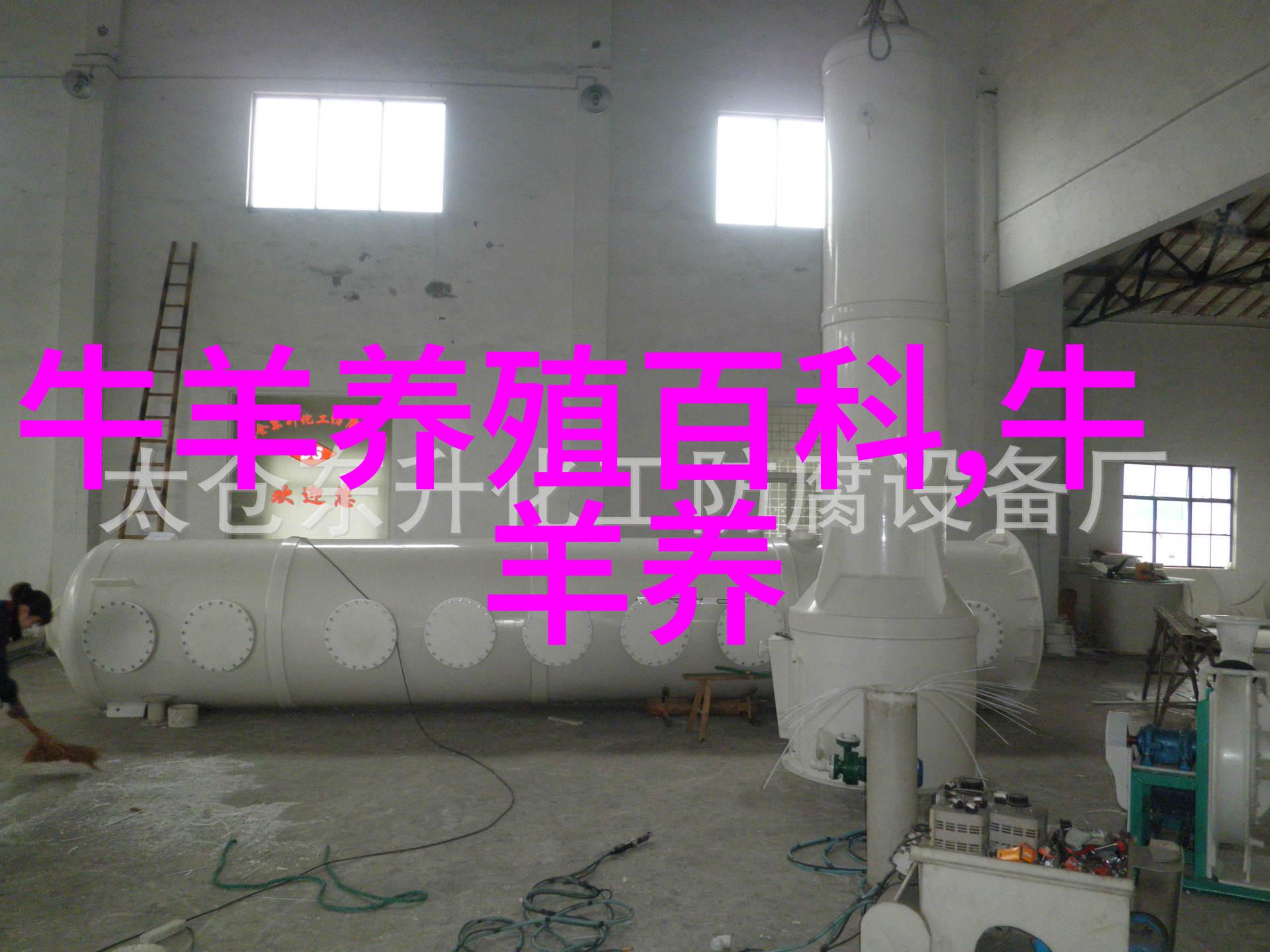 重瓣矮牵牛
