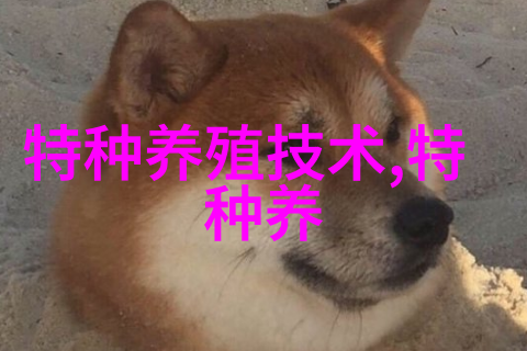 貂狐貉冬毛期 配料推荐比例
