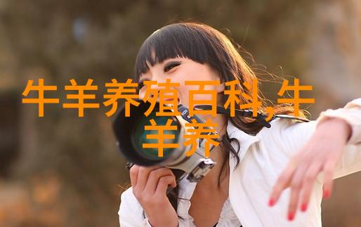 肉牛好育肥科学生产