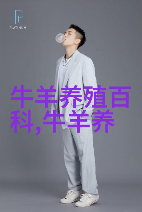 鲁西菜牛