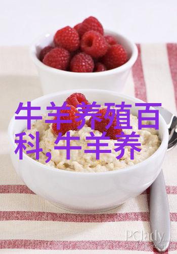 肉牛食欲差 调理有办法