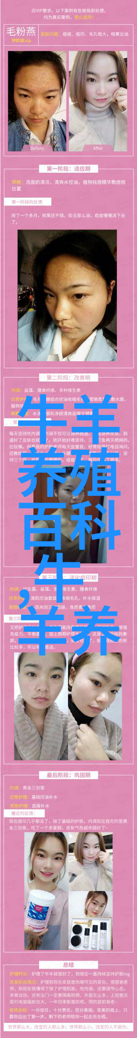 肉牛要催肥巧用瘤胃素