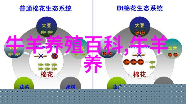 肉牛好育肥 选好品种