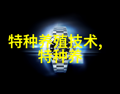 龟类新秀蛇鳄龟