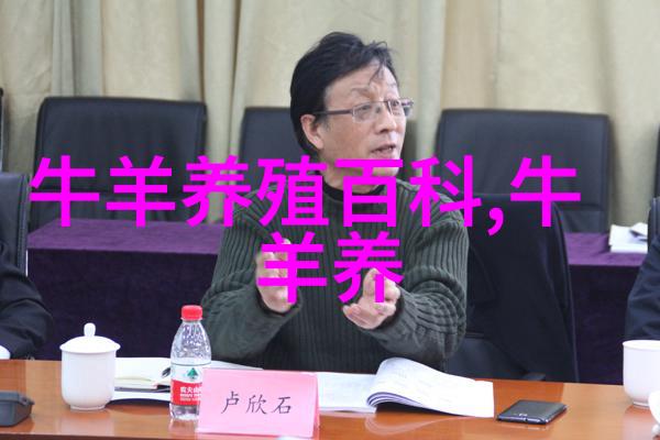 高产奶牛泌乳期饲养管理的要点