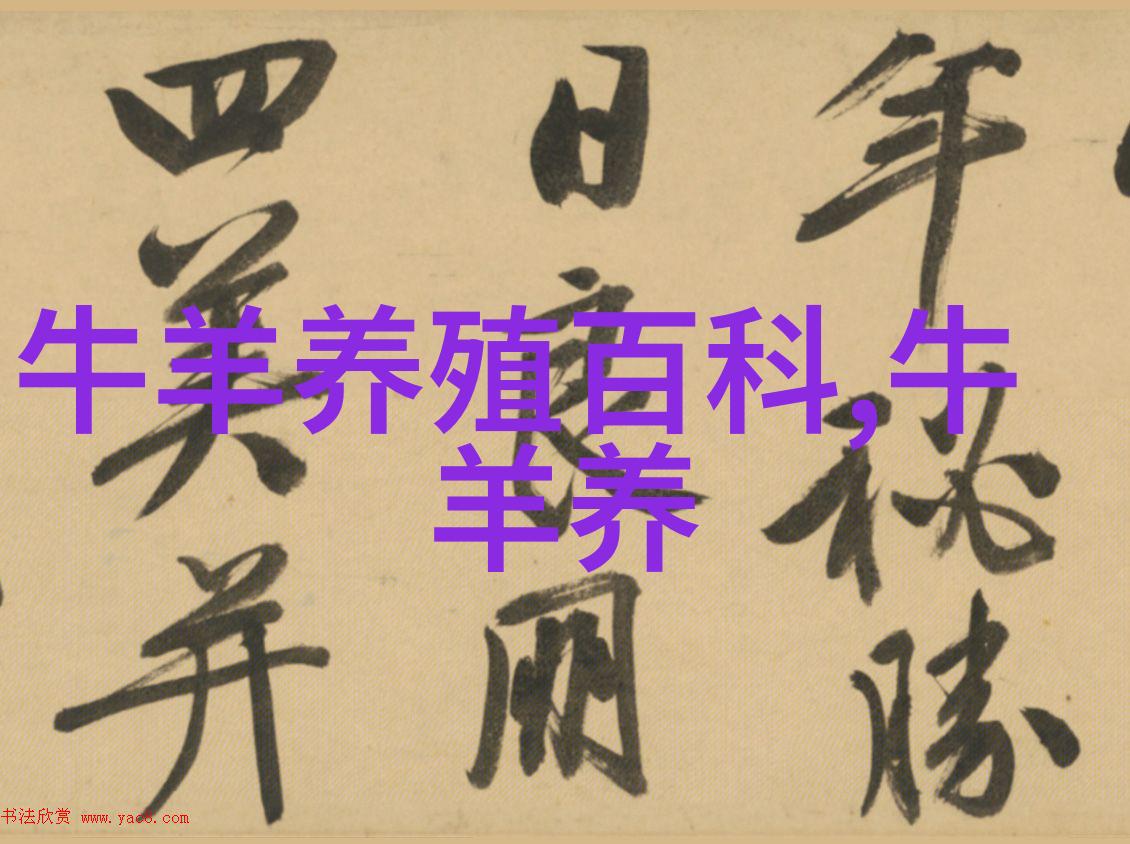 绒山羊种羊饲养要求