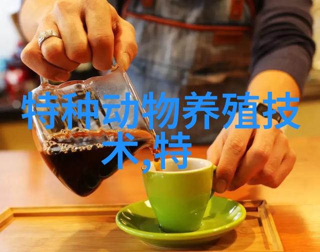 雄鸵鸟的选择