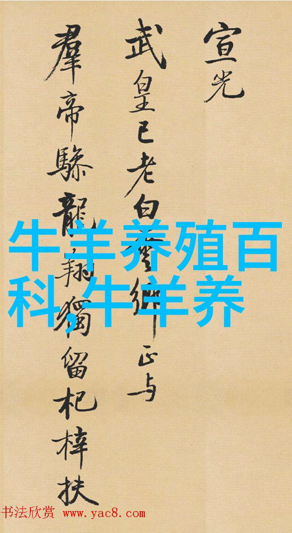 育肥牛的选择
