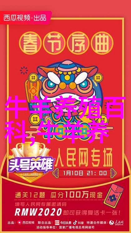 肉牛高能日粮肥育技术