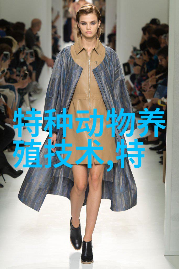 银环蛇的人工养殖管理方法要点