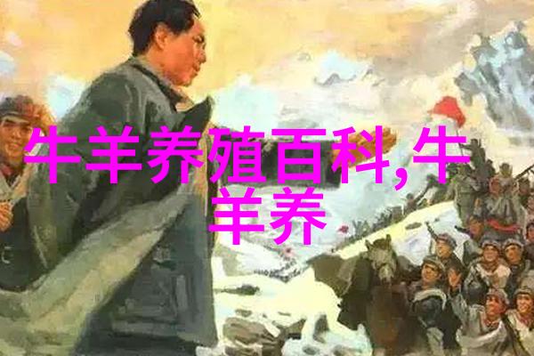 鸡粪饲料喂牛羊技术