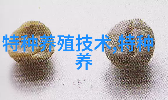 鸵鸟大肠杆菌病的诊治